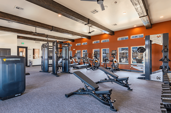 Free weights area